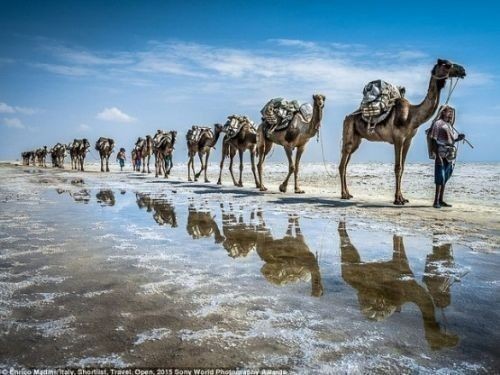 Dünya bu fotoğrafları konuşuyor ! ‘Ne var ki’ Diyorsanız bir sonraki kareye bakın..