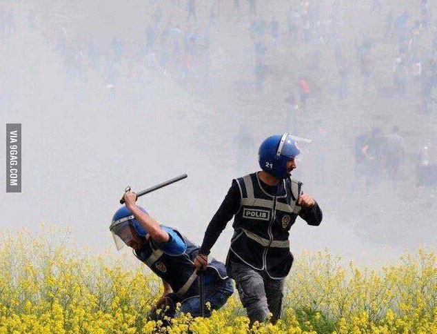 Dudaklarınızda bir yudum gülümseme bırakacak resimler!