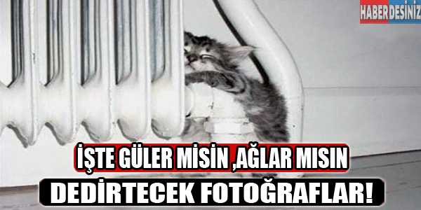 Güler misin-ağlar mısın dedirtecek fotoğraflar!