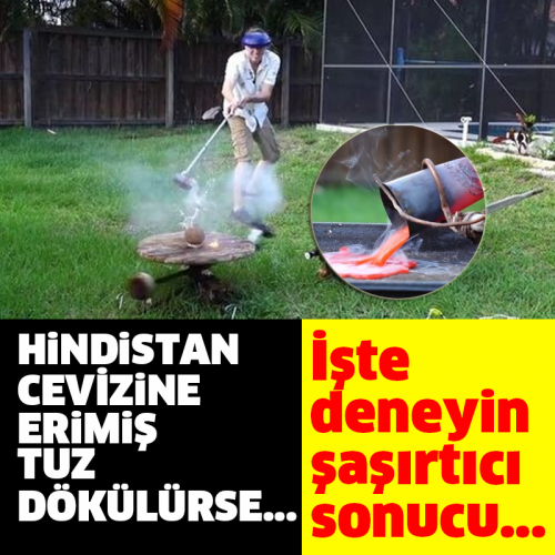 HİNDİSTAN CEVİZİNE ERİMİŞ TUZ DÖKÜLÜRSE...  İşte deneyin şaşırtıcı sonucu...