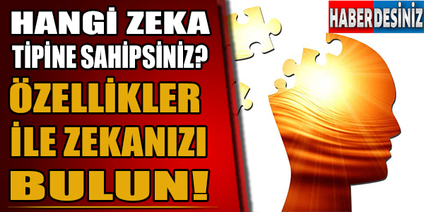 Hangi zeka tipine sahipsiniz?