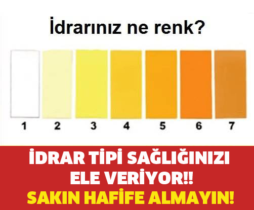 İDRARINIZ NE RENK? İDRAR TİPİ SAĞLIĞINIZI ELE VERİYOR! SAKIN HAFİFE ALMAYIN!