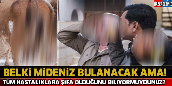 Belki Mideniz Bulanıcak Ama ! Tüm Hastalıklara Şifa Olduğunu Biliyormuydunuz ?