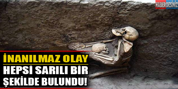 İnanılmaz olay hepsi birbirine sarılı bir şekilde bulundu!