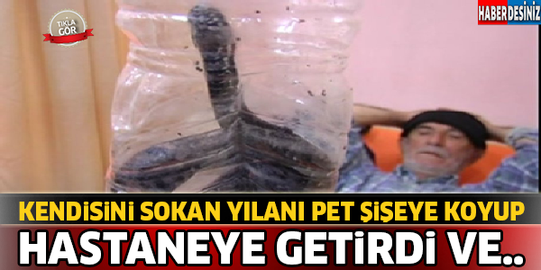 Kendisini Sokan Yılanı Hastaneye Getirdi Ve...