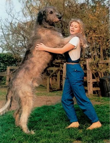 Köpeği olan kadınların aslında... Çok şaşıracaksınız!