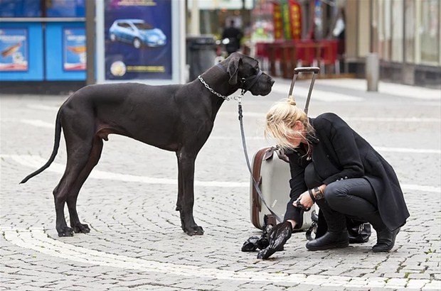 Köpeği olan kadınların aslında... Çok şaşıracaksınız!