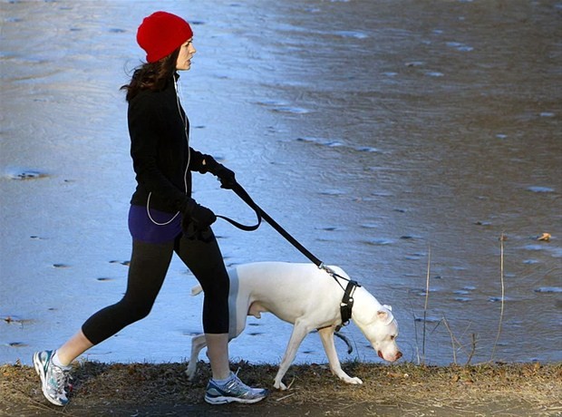 Köpeği olan kadınların aslında... Çok şaşıracaksınız!