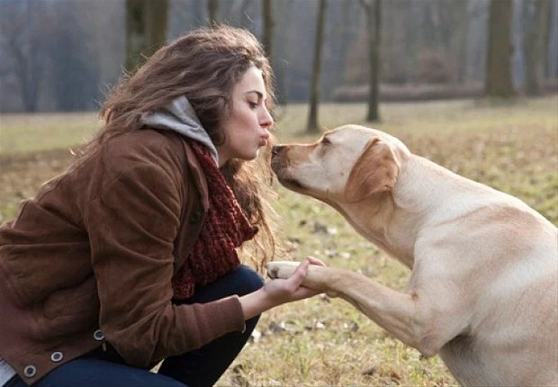 Köpeği olan kadınların aslında... Çok şaşıracaksınız!