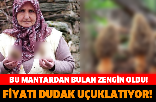 FİYATI DUDAK UÇUKLATIYOR! BU MANTARDAN BULAN ZENGİN OLUN!