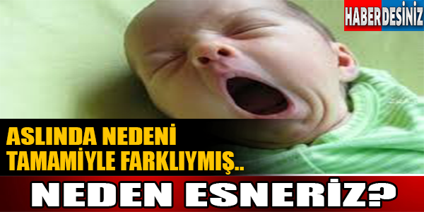 Neden Esneriz? Aslında Nedeni Tamamiyle Farklıymış..