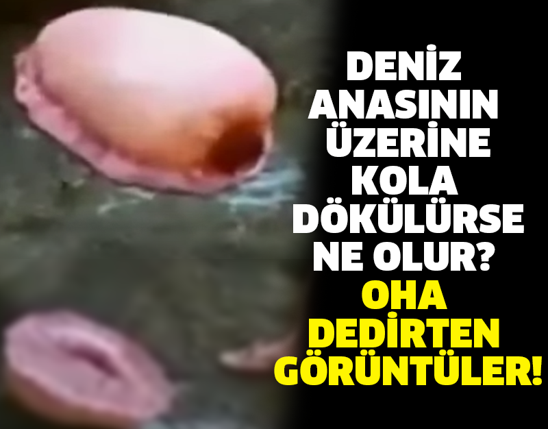 DENİZ ANASININ ÜZERİNE KOLA DÖKÜLÜRSE NE OLUR? OHA DEDİRTEN GÖRÜNTÜLER!