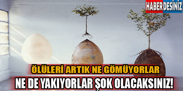 Ölüleri artık ne gömüyorlar ne de yakıyorlar,Şok olacaksınız!