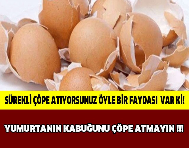 Çöp deyip attıklarınız bakın ne işe yarıyor…