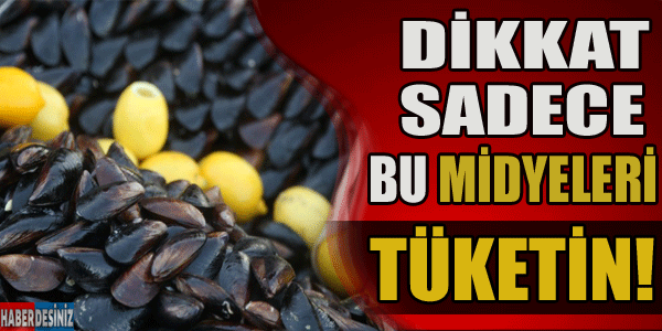 Dikkat sadece bu midyeleri tüketin!