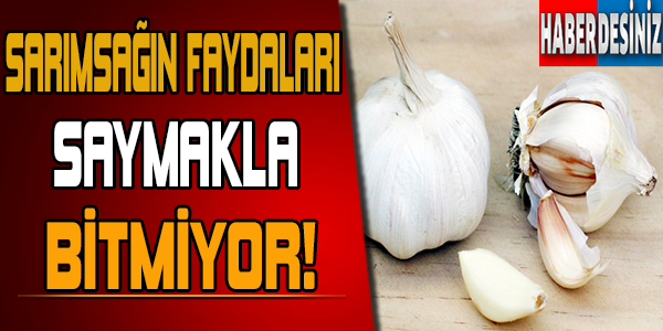 Sarımsağın Faydaları Saymakla Bitmiyor!