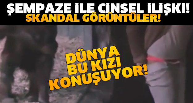 ŞEMPANZE İLE CİNSEL İLİŞKİ SKANDALI! DÜNYANIN ÇİVİSİ ÇIKMIŞ! YOK BÖYLE BİR REZALET!