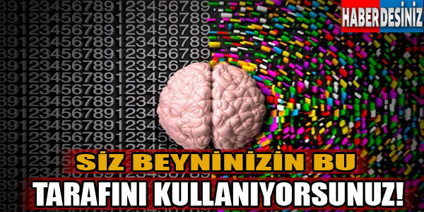 Siz beyninizin bu tarafını kullanıyorsunuz!