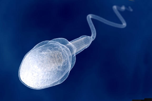 KİMSE TAHMİN EDEMEZDİ! SPERM HAKKINDA ŞAŞIRTICI GERÇEK...