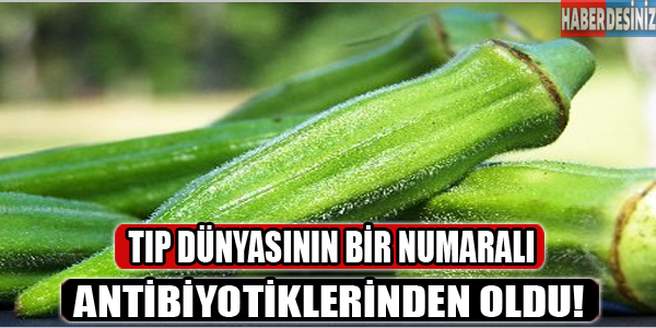 Tıp dünyasının bir numaralı antibiyotikler inden oldu!