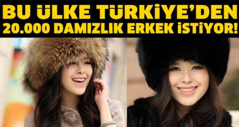 TÜRKİYE'DEN 20 BİN DAMIZLIK ERKEK İSTİYOR...