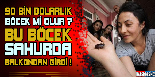 90 bin dolarlık böcek sahurda balkondan girdi!