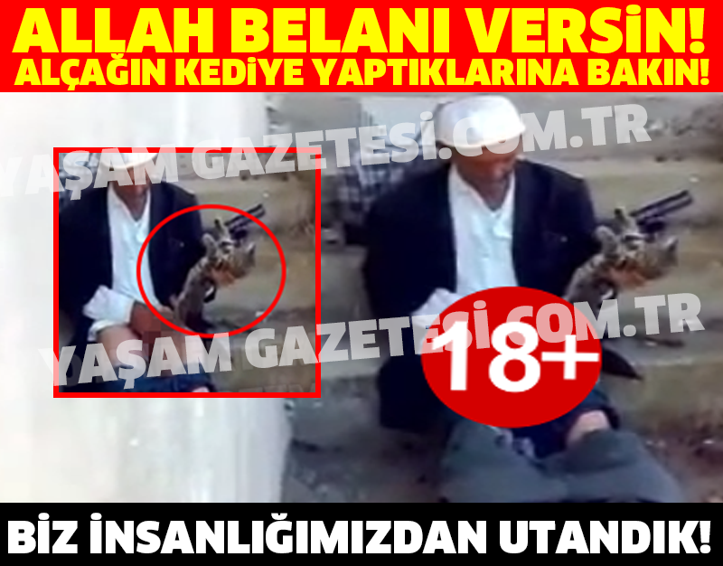 ALLAH BELANI VERSİN! ALÇAĞIN KEDİYE YAPTIKLARINA BAKIN! BİZ İNSANLIĞIMIZDAN UTANDIK!