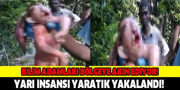 BİLİM ADAMLARI BÖLGEYE AKIN EDİYOR! YARI İNSANSI YARATIK YAKALANDI!