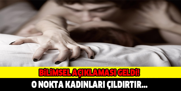 Bilimsel açıklaması geldi o nokta kadınları çıldırtır!