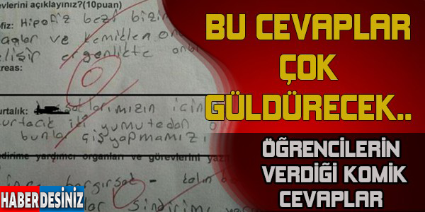 bu cevaplar çok güldürüyor