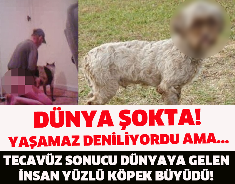 DÜNYA ŞOKTA! YAŞAMAZ DENİLİYORDU AMA... TECAVÜZ SONUCU DÜNYAYA GELEN İNSAN YÜZLÜ KÖPEK BÜYÜDÜ!