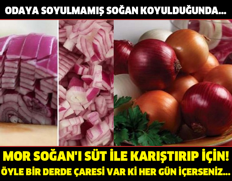 MOR SOĞAN'I SÜT İLE KARIŞTIRIP İÇİN! ÖYLE BİR DERDE ÇARESİ VAR Kİ HER GÜN İÇERSENİZ! ODAYA SOYULMAMIŞ SOĞAN KOYULDUĞUNDA...