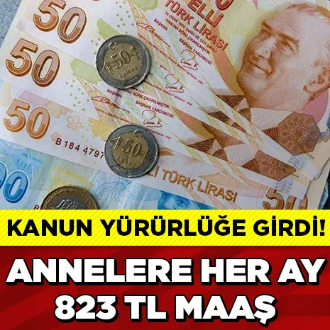 KANUN YÜRÜLÜĞE GİRDİ!! ANNELERE HER AY 823 TL MAAŞ!!