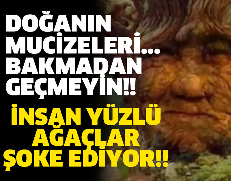 DOĞANIN MUCİZELERİ... BAKMADAN GEÇMEYİN!!