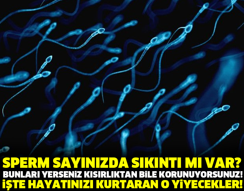 SPERM SAYINIZDA SIKINTI MI VAR? BUNLARI YERSENİZ KISIRLIKTAN BİLE KORUNUYORSUNUZ! İŞTE HAYATINIZI KURTARAN O YİYECEKLER!