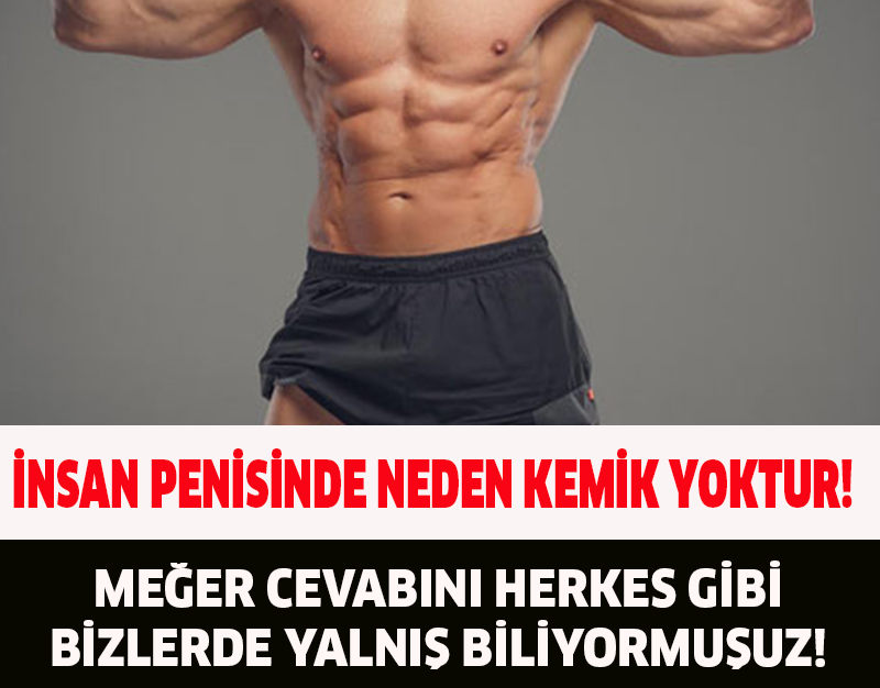 İNSAN PENİSİNDE NEDEN KEMİK YOKTUR!MEĞER CEVABINI HERKES GİBİ BİZLERDE YALNIŞ BİLİYORMUŞUZ!