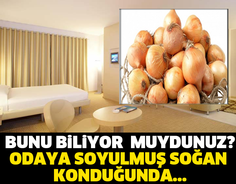 BUNU BİLİYOR MUYDUNUZ? ODAYA SOYULMUŞ SOĞAN KONDUĞUNDA...