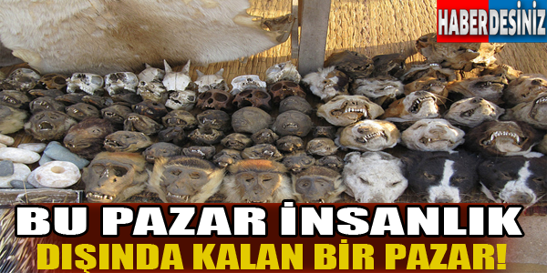 Bu pazar insanlık dışında kalan bir pazar!