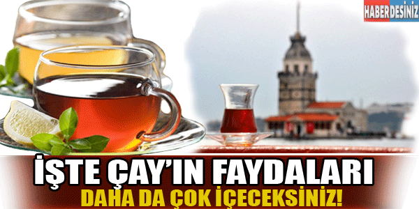 İşte çayın faydaları? duyunca daha çok içeceksiniz !