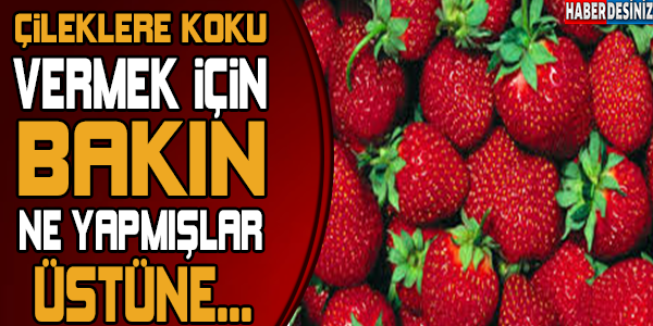 Çileklere Koku Vermek İçin Bakın Ne Yapmışlar!..