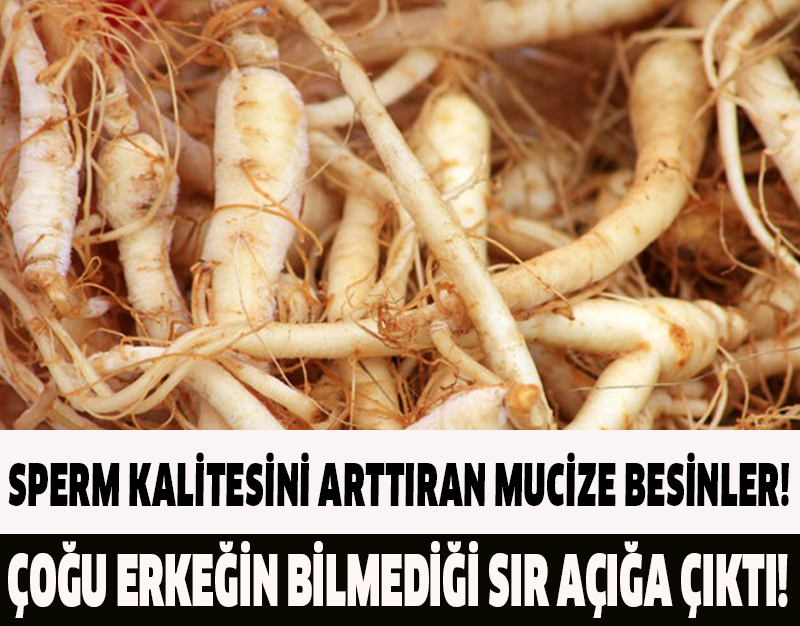 SPERM KALİTESİNİ ARTTIRAN MUCİZE BESİNLER!ÇOĞU ERKEĞİN BİLMEDİĞİ SIR ORTAYA ÇIKTI!