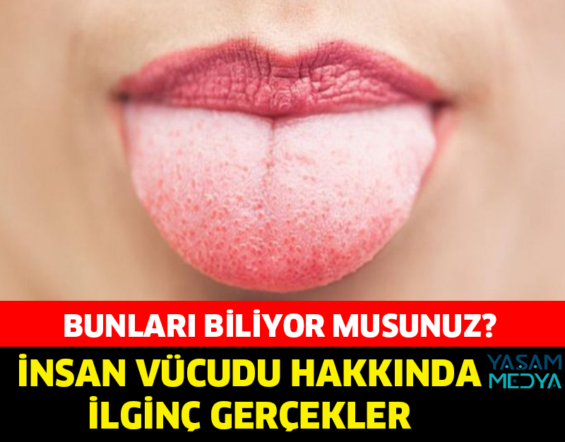 İNSAN VÜCUDU HAKKINDA İLGİNÇ GERÇEKLER!