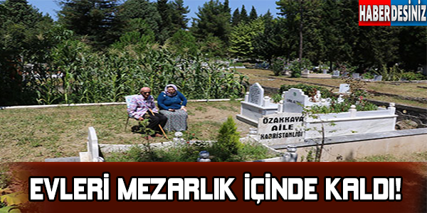 Evleri mezarlık içinde kaldı!