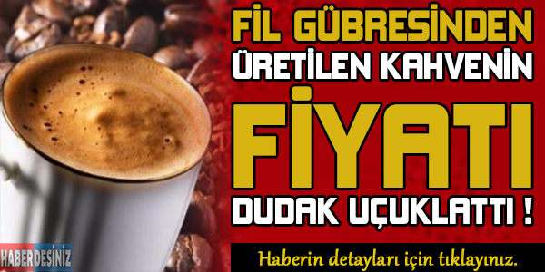 Fil gübresinden üretilen kahvenin fiyatı dudak uçuklattı !