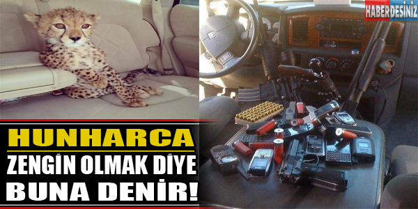 Hunharca zengin olmak diye buna denir!