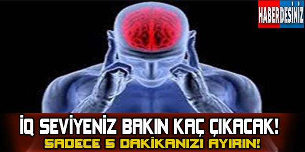 İQ seviyeniz bakın kaç çıkacak! Sadece 5 dakikanızı ayırın!