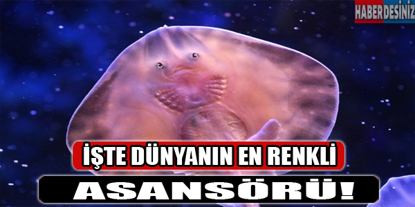 İşte dünyanın en renkli asansörü!