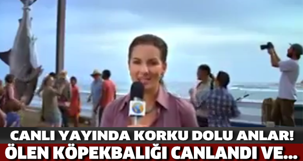 Köpek Balığı Canlanınca Olanlar Oldu