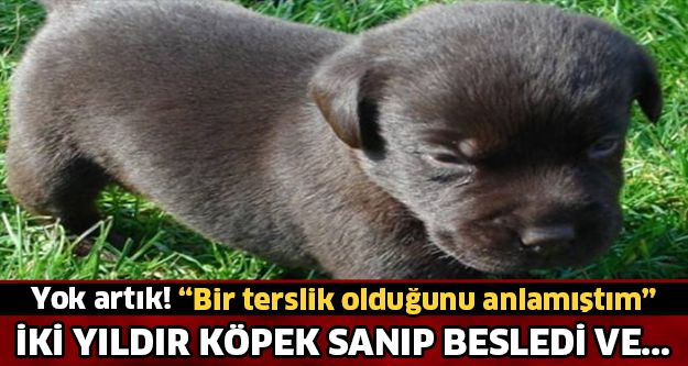 İki Yıl Köpek Sanarak Besledi! Sonunda Korkunç Gerçek Ortaya Çıktı..