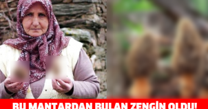 FİYATI DUDAK UÇUKLATIYOR! BU MANTARDAN BULAN ZENGİN OLUN!